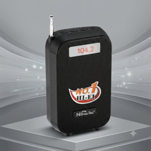 NT-P2460 PARLANTE BLUETOOTH