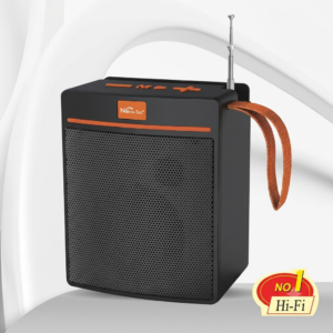 NT-P2461 PARLANTE BLUETOOTH